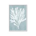 Picture of Coral Leaves II _GroupedProduct_Rectangle_Portrait_Framed_Matted_