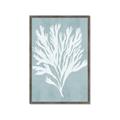 Picture of Coral Leaves II _GroupedProduct_Rectangle_Portrait_Framed_Matted_