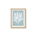 Picture of Coral Leaves II _GroupedProduct_Rectangle_Portrait_Framed_Matted_