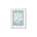 Picture of Coral Leaves II _GroupedProduct_Rectangle_Portrait_Framed_Matted_