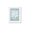 Picture of Coral Leaves II _GroupedProduct_Rectangle_Portrait_Framed_Matted_