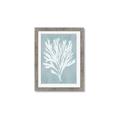 Picture of Coral Leaves II _GroupedProduct_Rectangle_Portrait_Framed_Matted_