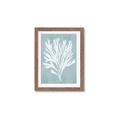 Picture of Coral Leaves II _GroupedProduct_Rectangle_Portrait_Framed_Matted_