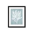 Picture of Coral Leaves II _GroupedProduct_Rectangle_Portrait_Framed_Matted_