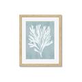Picture of Coral Leaves II _GroupedProduct_Rectangle_Portrait_Framed_Matted_