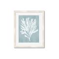Picture of Coral Leaves II _GroupedProduct_Rectangle_Portrait_Framed_Matted_