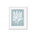 Picture of Coral Leaves II _GroupedProduct_Rectangle_Portrait_Framed_Matted_