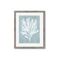 Picture of Coral Leaves II _GroupedProduct_Rectangle_Portrait_Framed_Matted_