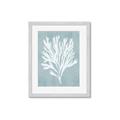 Picture of Coral Leaves II _GroupedProduct_Rectangle_Portrait_Framed_Matted_
