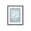 Picture of Coral Leaves II _GroupedProduct_Rectangle_Portrait_Framed_Matted_