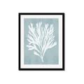 Picture of Coral Leaves II _GroupedProduct_Rectangle_Portrait_Framed_Matted_