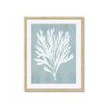 Picture of Coral Leaves II _GroupedProduct_Rectangle_Portrait_Framed_Matted_