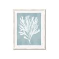 Picture of Coral Leaves II _GroupedProduct_Rectangle_Portrait_Framed_Matted_
