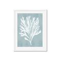 Picture of Coral Leaves II _GroupedProduct_Rectangle_Portrait_Framed_Matted_