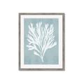 Picture of Coral Leaves II _GroupedProduct_Rectangle_Portrait_Framed_Matted_