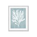 Picture of Coral Leaves II _GroupedProduct_Rectangle_Portrait_Framed_Matted_