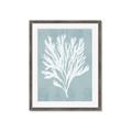 Picture of Coral Leaves II _GroupedProduct_Rectangle_Portrait_Framed_Matted_