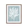 Picture of Coral Leaves II _GroupedProduct_Rectangle_Portrait_Framed_Matted_