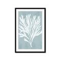 Picture of Coral Leaves II _GroupedProduct_Rectangle_Portrait_Framed_Matted_