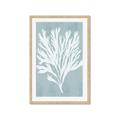 Picture of Coral Leaves II _GroupedProduct_Rectangle_Portrait_Framed_Matted_