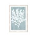 Picture of Coral Leaves II _GroupedProduct_Rectangle_Portrait_Framed_Matted_