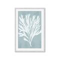 Picture of Coral Leaves II _GroupedProduct_Rectangle_Portrait_Framed_Matted_