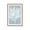 Picture of Coral Leaves II _GroupedProduct_Rectangle_Portrait_Framed_Matted_