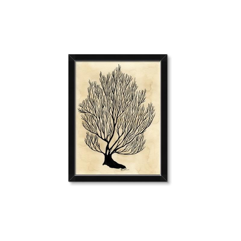 Picture of Neutral Coral I  _GroupedProduct_Rectangle_Portrait_Framed_Matted_