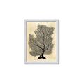 Picture of Neutral Coral II  _GroupedProduct_Rectangle_Portrait_Framed_Matted_