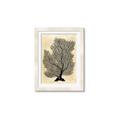 Picture of Neutral Coral II  _GroupedProduct_Rectangle_Portrait_Framed_Matted_