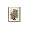 Picture of Neutral Coral II  _GroupedProduct_Rectangle_Portrait_Framed_Matted_