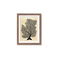Picture of Neutral Coral II  _GroupedProduct_Rectangle_Portrait_Framed_Matted_