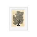 Picture of Neutral Coral II  _GroupedProduct_Rectangle_Portrait_Framed_Matted_