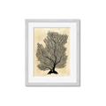 Picture of Neutral Coral II  _GroupedProduct_Rectangle_Portrait_Framed_Matted_