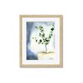 Picture of Green leaves  Pot _GroupedProduct_Rectangle_Portrait_Framed_Matted_