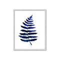 Picture of Indigo Fern  _GroupedProduct_Rectangle_Portrait_Framed_Matted_