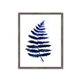 Picture of Indigo Fern  _GroupedProduct_Rectangle_Portrait_Framed_Matted_