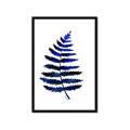 Picture of Indigo Fern  _GroupedProduct_Rectangle_Portrait_Framed_Matted_
