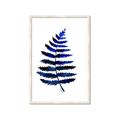 Picture of Indigo Fern  _GroupedProduct_Rectangle_Portrait_Framed_Matted_