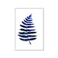 Picture of Indigo Fern  _GroupedProduct_Rectangle_Portrait_Framed_Matted_