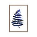Picture of Indigo Fern  _GroupedProduct_Rectangle_Portrait_Framed_Matted_