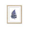 Picture of Indigo Fern  _GroupedProduct_Rectangle_Portrait_Framed_Matted_