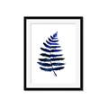 Picture of Indigo Fern  _GroupedProduct_Rectangle_Portrait_Framed_Matted_