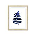 Picture of Indigo Fern  _GroupedProduct_Rectangle_Portrait_Framed_Matted_