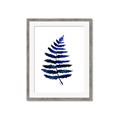 Picture of Indigo Fern  _GroupedProduct_Rectangle_Portrait_Framed_Matted_