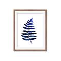 Picture of Indigo Fern  _GroupedProduct_Rectangle_Portrait_Framed_Matted_