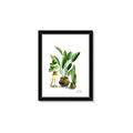 Picture of House Plants I  _GroupedProduct_Rectangle_Portrait_Framed_Matted_