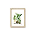 Picture of House Plants I  _GroupedProduct_Rectangle_Portrait_Framed_Matted_