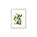 Picture of House Plants I  _GroupedProduct_Rectangle_Portrait_Framed_Matted_