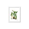 Picture of House Plants I  _GroupedProduct_Rectangle_Portrait_Framed_Matted_